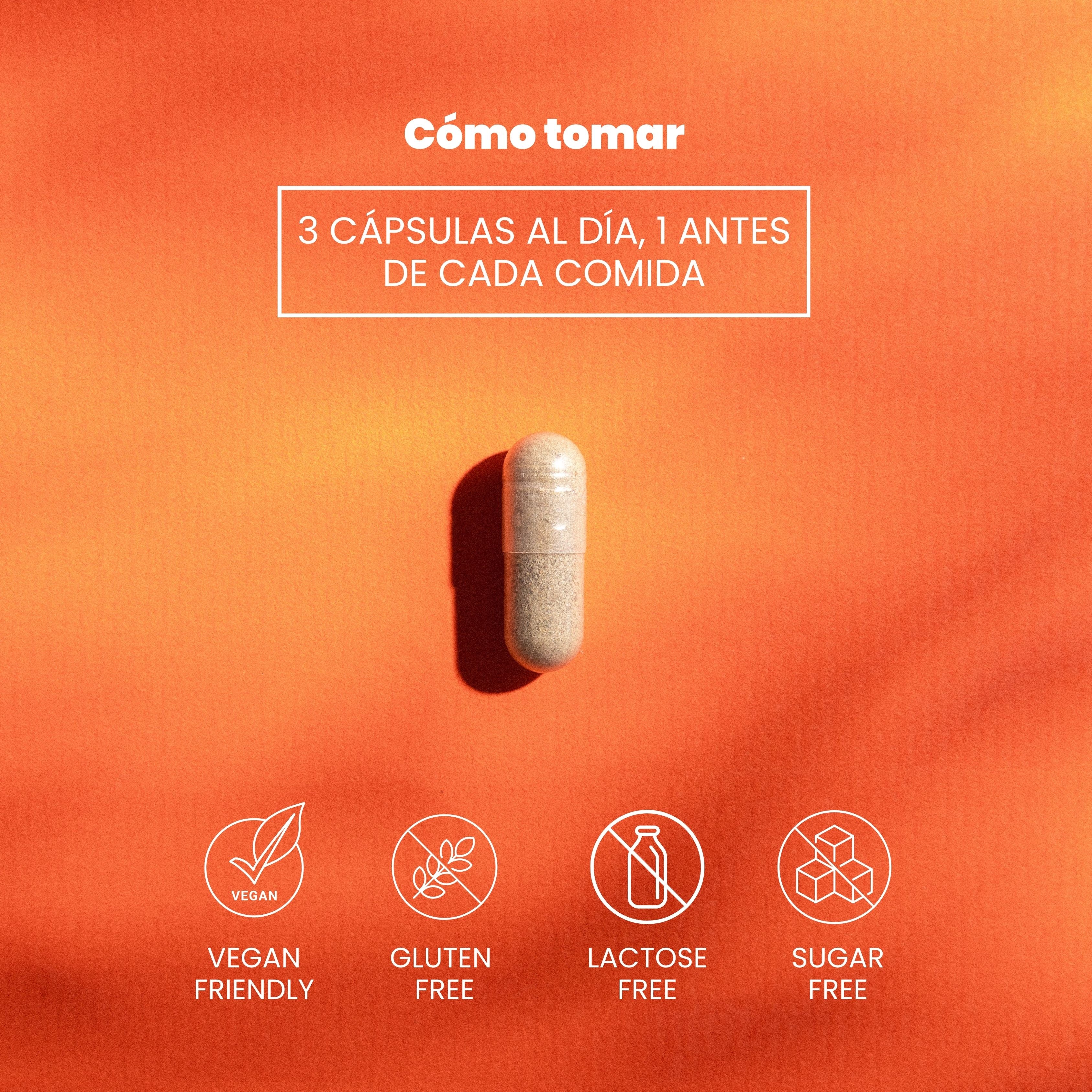 Mind & Body Booster - Rendimiento Cognitivo - Naturemost