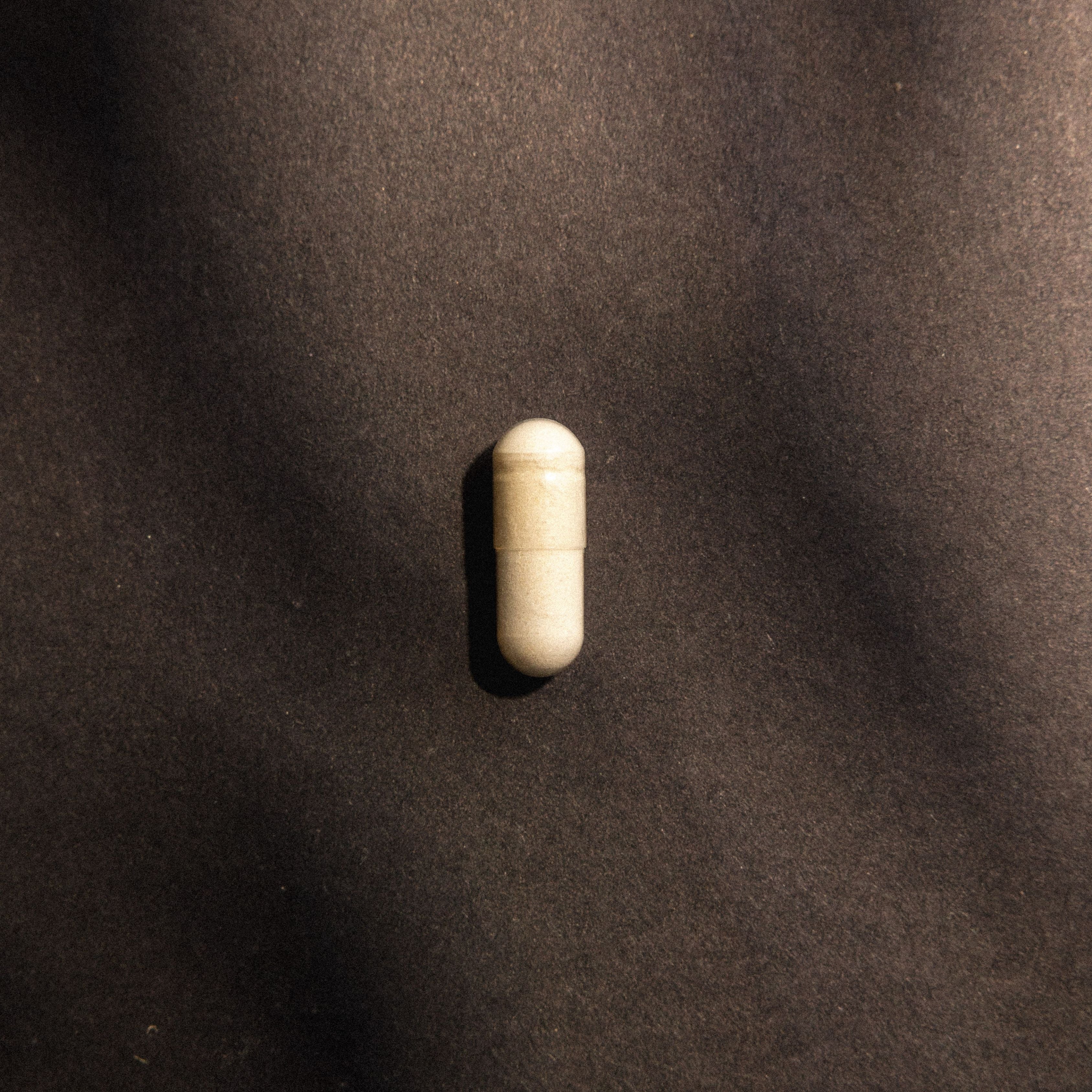 Predators® - Pure shark cartilague - Naturemost