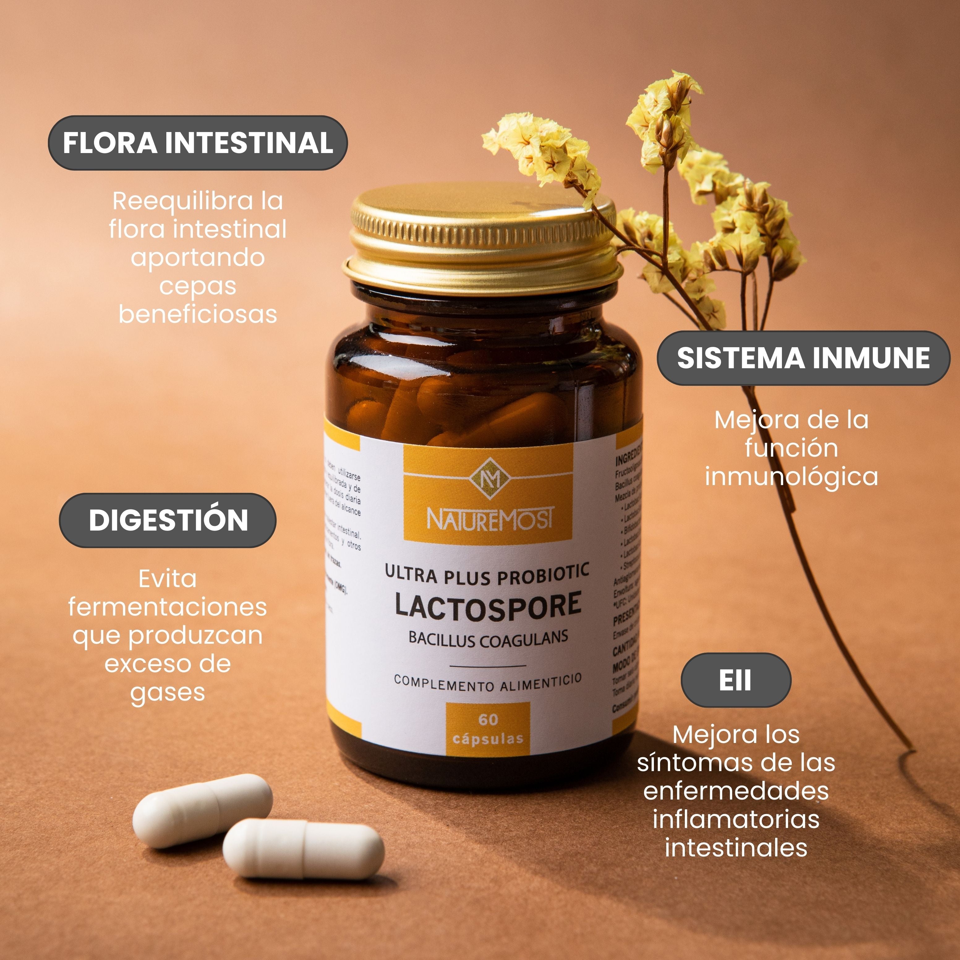Probiotic Lactospore - Salud Intestinal - Naturemost