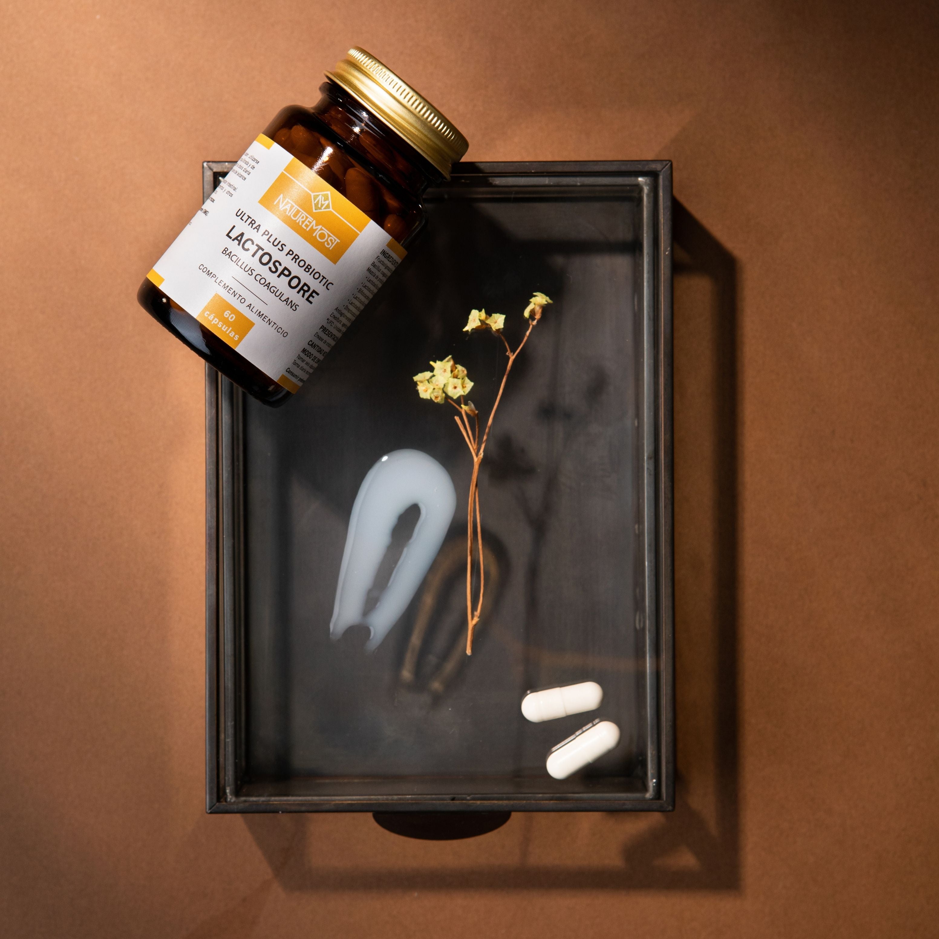 Probiotic Lactospore - Salud Intestinal - Naturemost