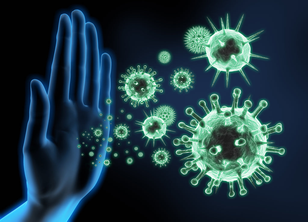 Inmunidad es Seguridad: Refuerza tu sistema inmunológico