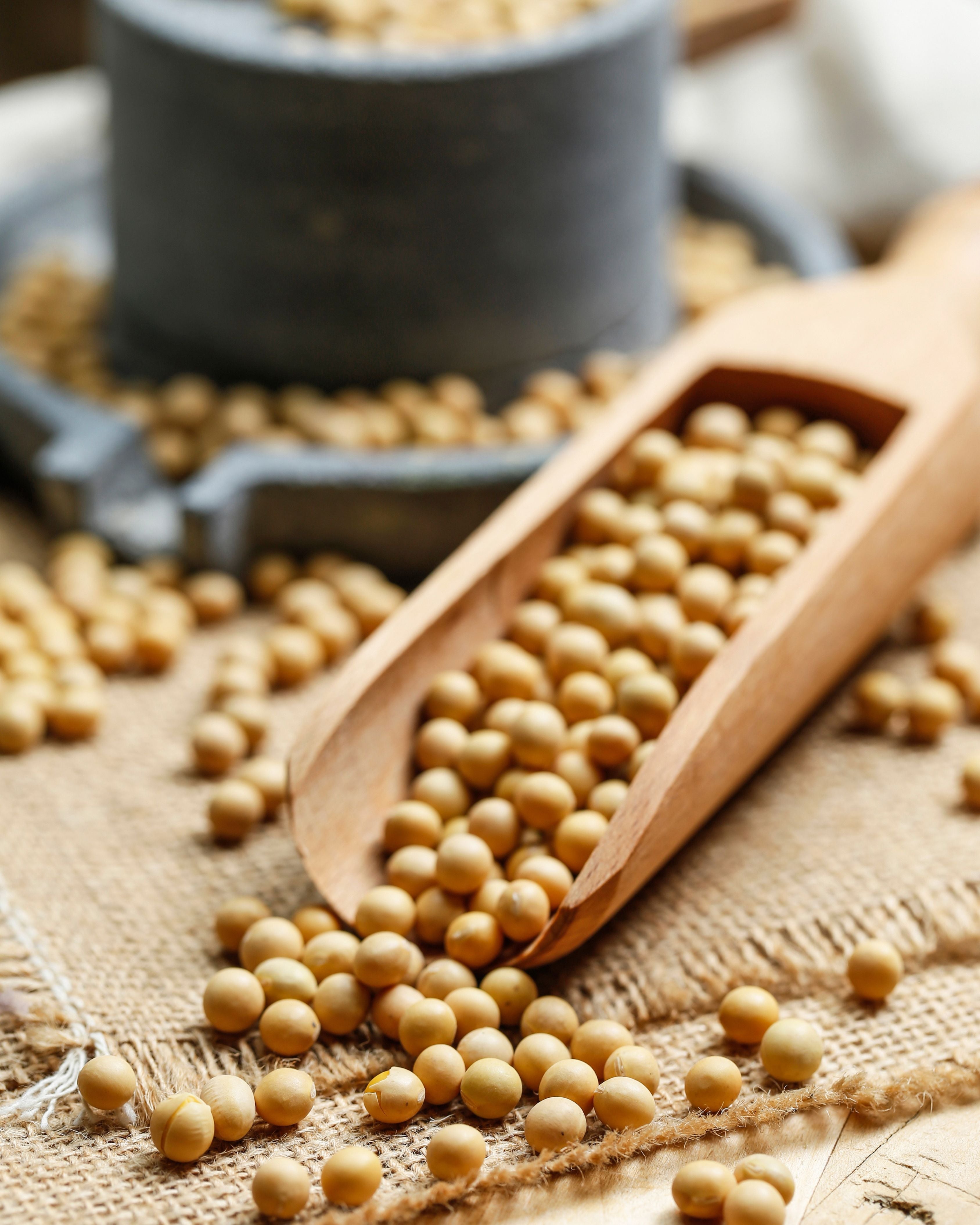 Mejores suplementos naturales para la menopausia